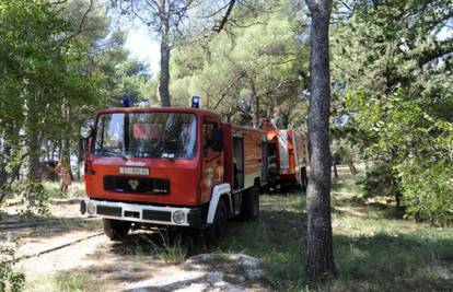 Požar kraj Lovinca progutao je 5 ha šume i niskog raslinja