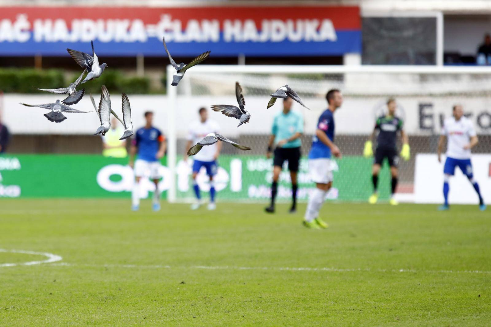 HNL, 11. kolo, Hajduk-Varazdin