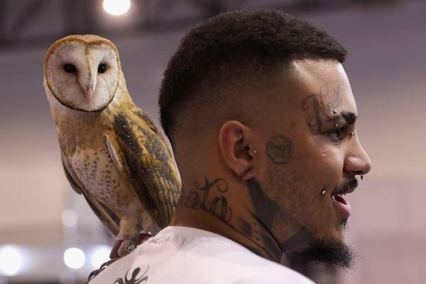 Tattoo Week in Sao Paulo