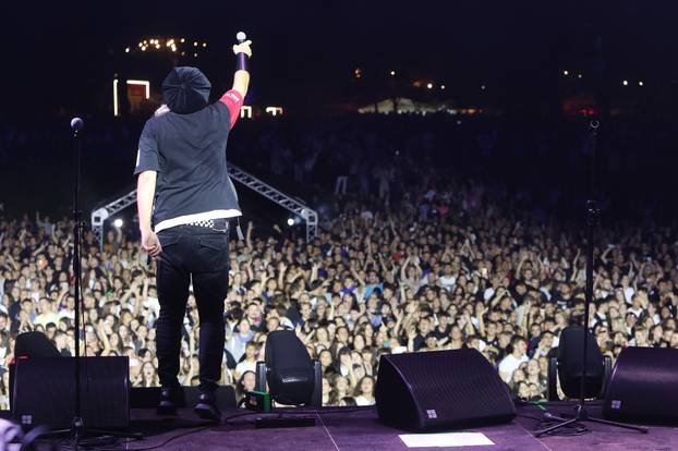 Karlovac: Koncert Plavog orkestra na Danima piva