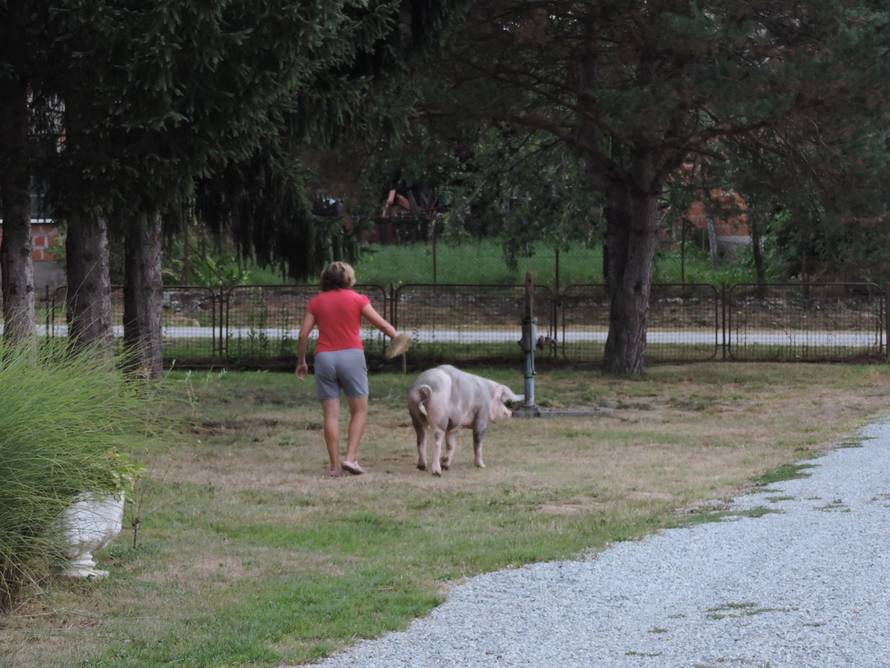 Mihael Hnatyšyn/24sata
