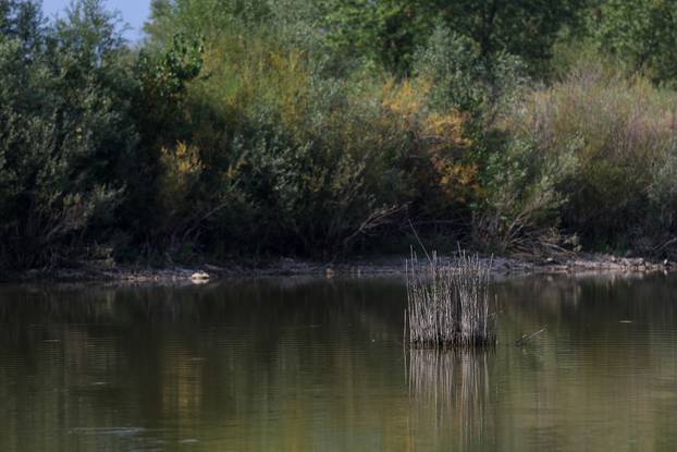 Zagreb: Šoderice Blato omiljeno su okupljalište lokalnih ribiča