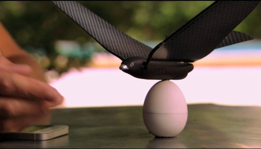 BionicBird/Indiegogo