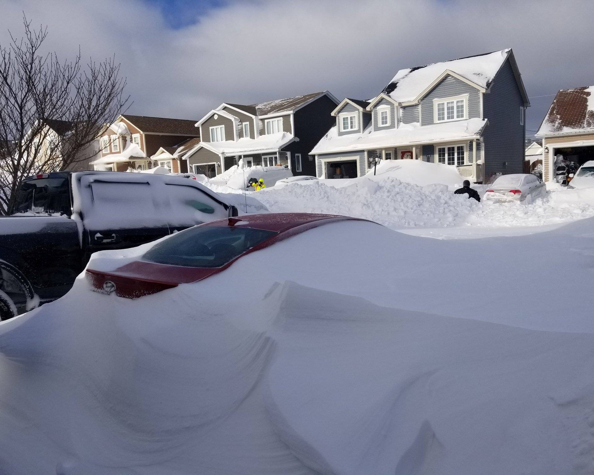 Snow covers cars in Paradise