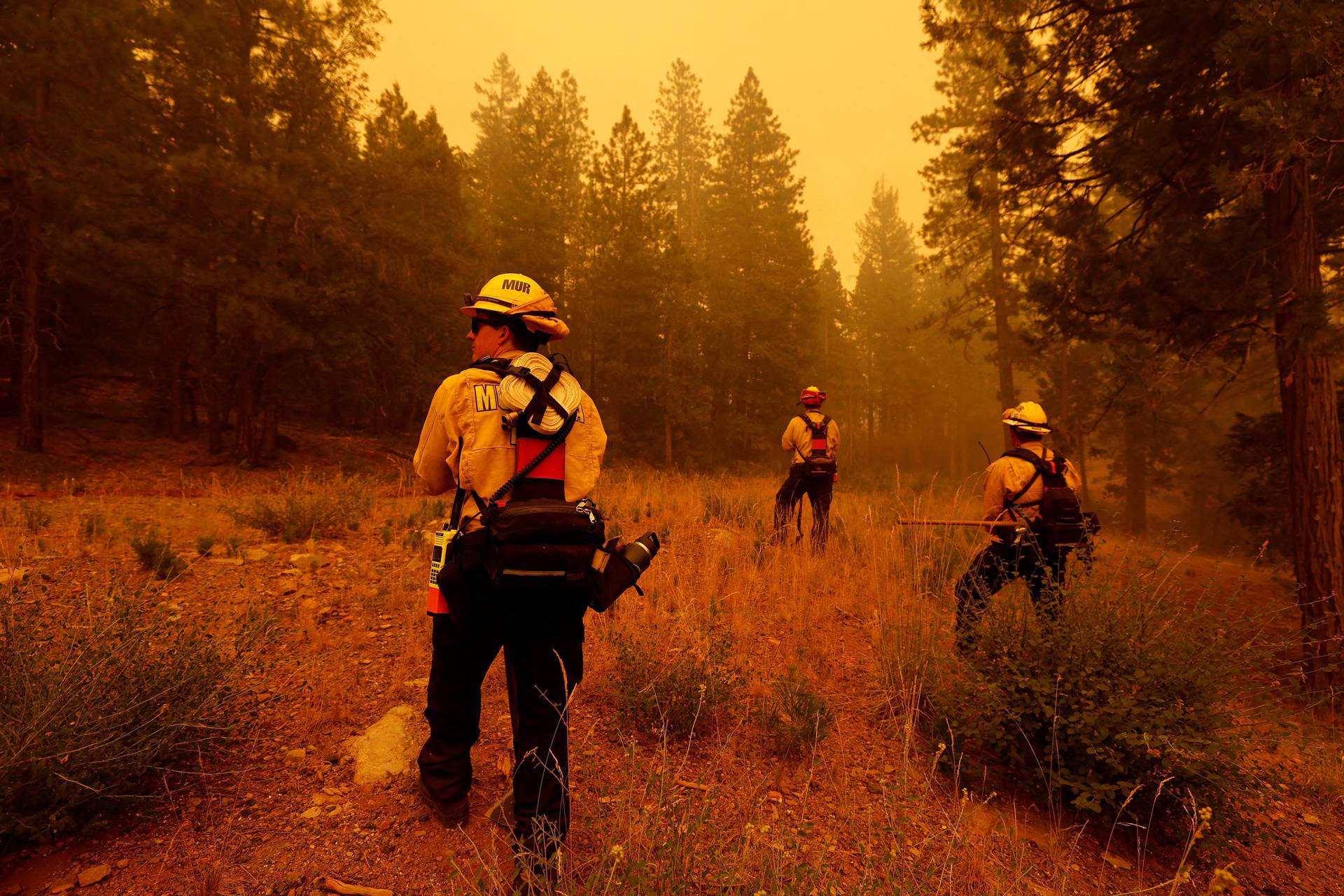 Park Fire, in Mill Creek