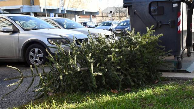 Kako ukloniti božićno drvce bez nereda i gdje ga onda odložiti?