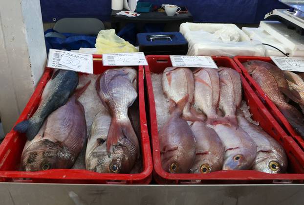 Šibenik:Bogata ponuda ribe na sibenskoj ribarnici.