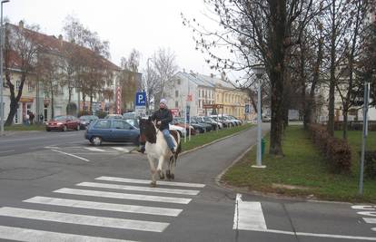  Zebra u Otočcu prevela konja i njegovu jahačicu preko ceste