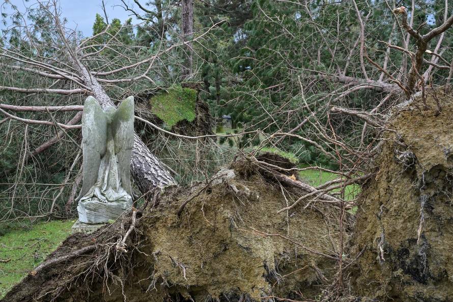 Zagreb: U nevremenu teško  oštećeno gradsko groblje Mirogoj