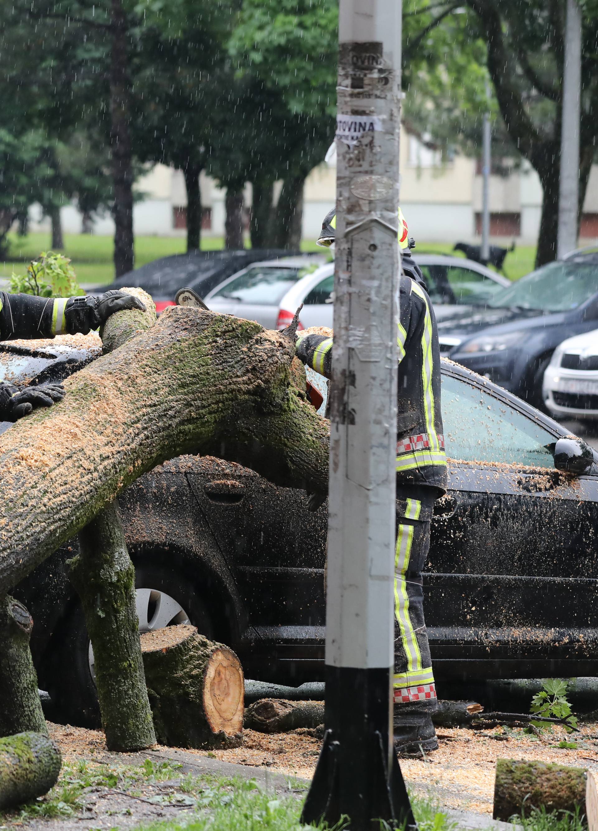 Drvo u Zagrebu palo na aute: 'Užas, samo je počelo pucati'