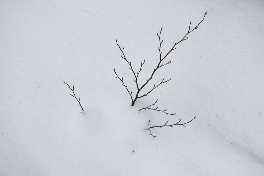 Trakošćan: Zaleđeno jezero Trakošćan stvara magičnu zimsku sliku