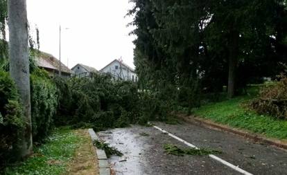 FOTO Pogledajte koliku je štetu napravilo jako nevrijeme u Sisačko-moslavačkoj županiji