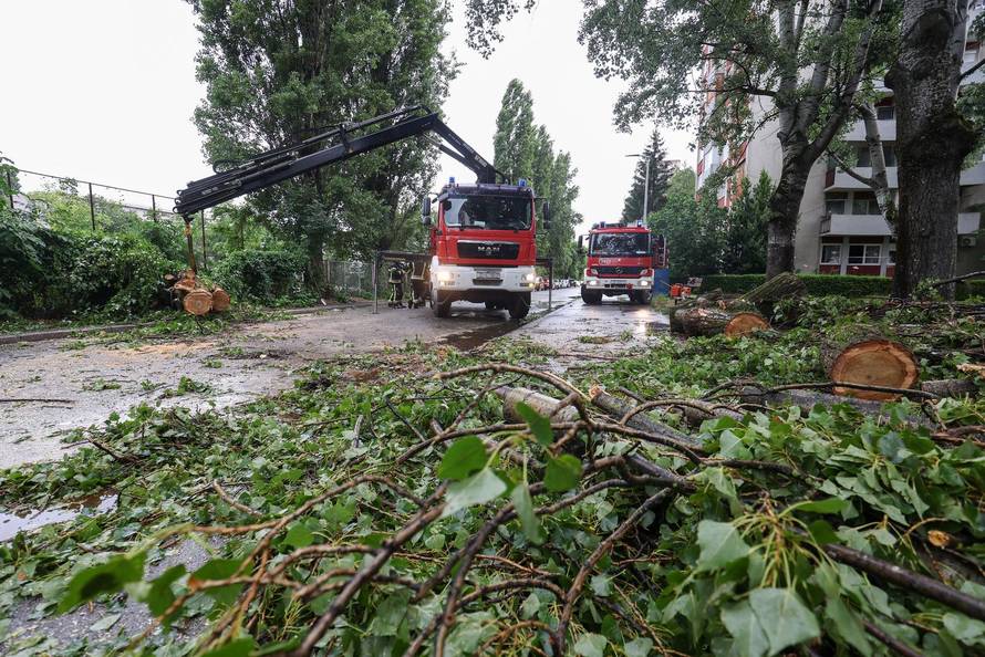 Nevrijeme pogodilo Zagreb, vjetar rušio drveća na automobile 
