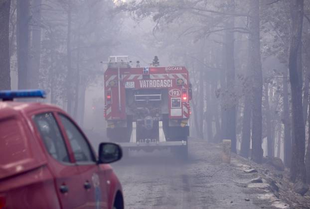 Apokaliptične fotografije uništene šume parka Biokovo