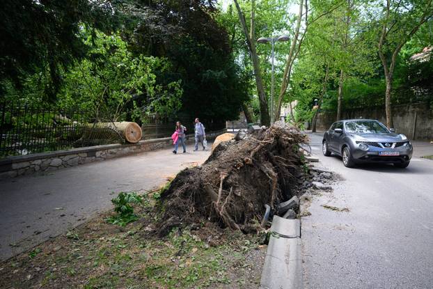 Zagreb: Veliko stablo srušilo se u Tuškancu i oštetilo ogradu kod javne garaže