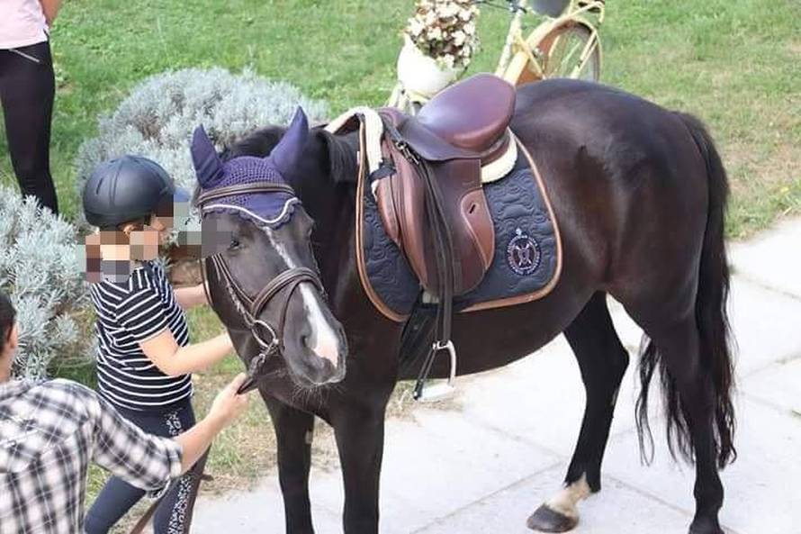 Za spomenik se bacaju milijuni, a udruga za terapijsko jahanje mora prodati konja da prežive