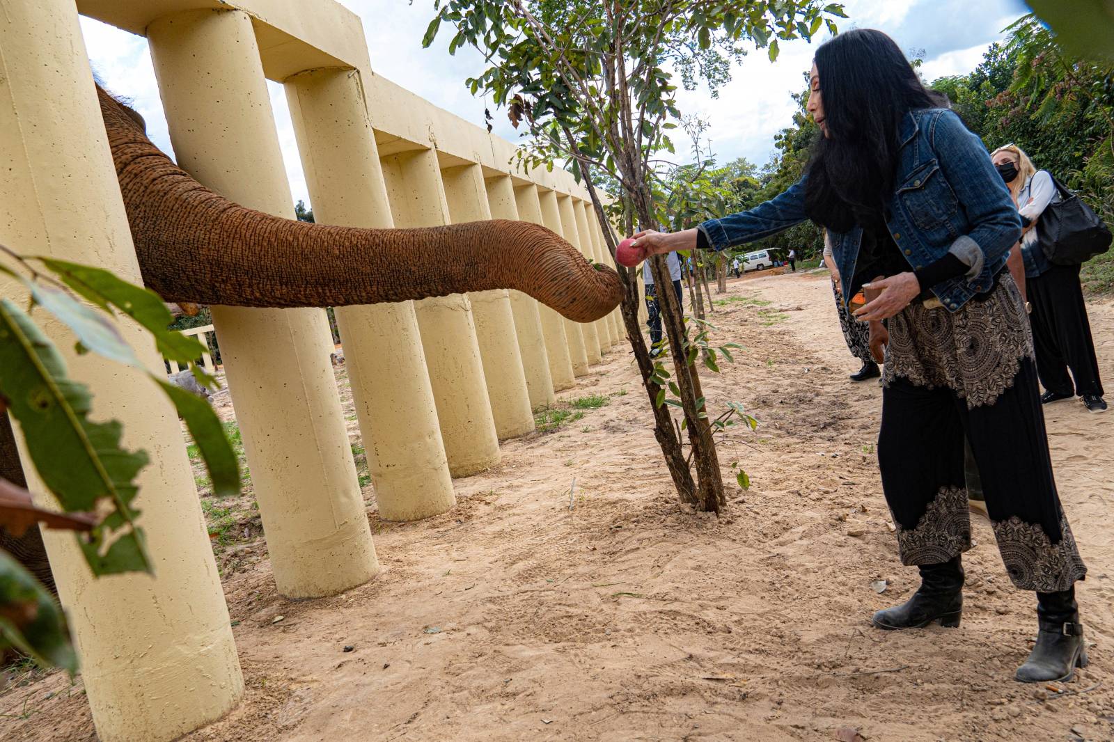 Singer Cher interacts with Kaavan, an elephant transported from Pakistan to Cambodia, at the sanctuary in Oddar Meanchey Province