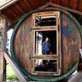 VIDEO Ogromnu staru drvenu bačvu nedaleko Đurđevca pretvorili su u saunu za goste