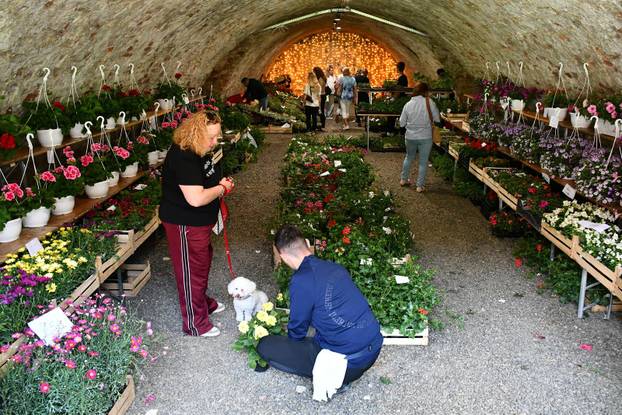 Slavonski Brod: Sajam cvijeća, sadnica, presadnica i cvijetnih dekoracija - Florafest 2026.