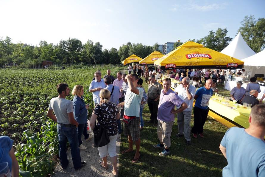 Borna Filić/PIXSELL