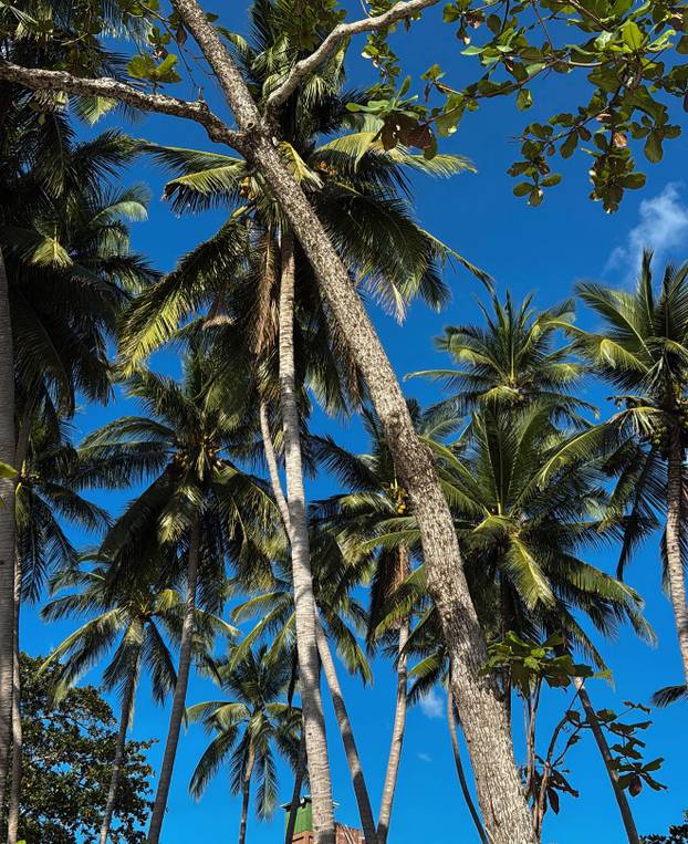 FOTO Wow, kakvo tijelo! Naša influencerica Lara pokazala liniju od koje svima pada vilica