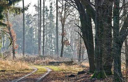 Čakovec: Žena u šumarku  pronašla ljudski kostur