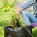 Sami čupajte korov umjesto da rabite herbicide i čuvajte okoliš