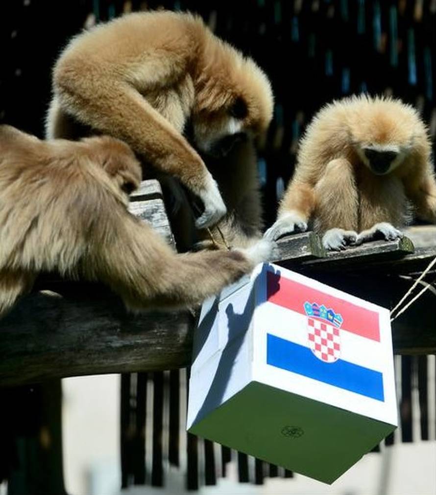 'Kad moj Vjeko stavi hrvatski dres naši dečki uvijek pobjede!'