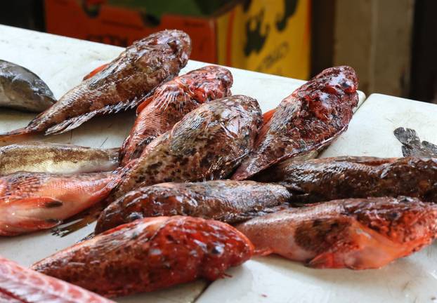 Šibenik: Poskupljenje plavog dizela još se nije odrazilo na cijene u ribarnici