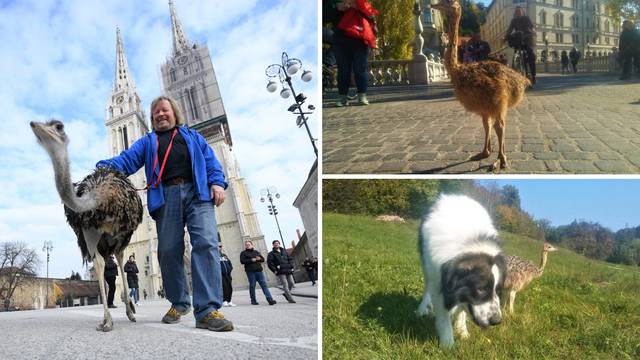 Franci je zvijezda u Sloveniji, a obožava banane, jaja i kekse