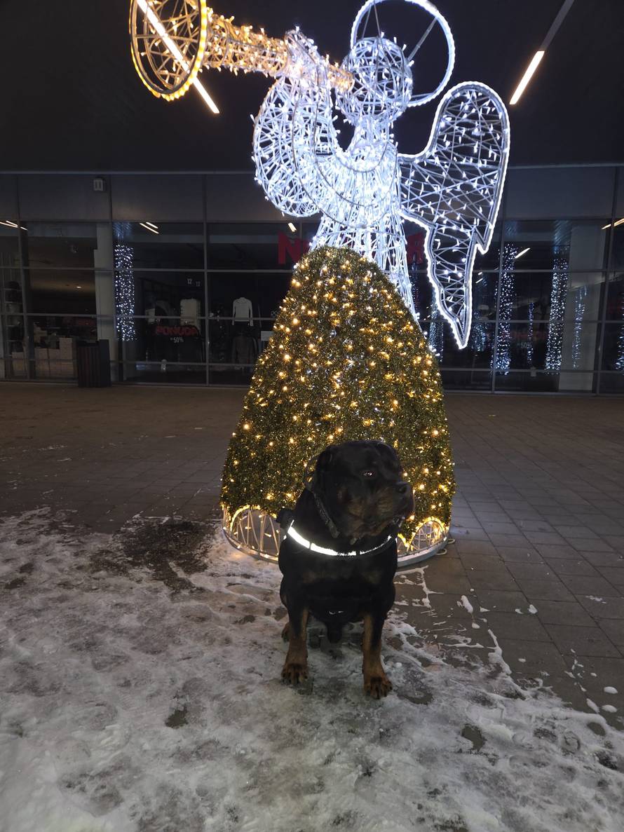 Općinska komunalka sama 'izlopatala' snijeg sa staze: 'Nema nikakve drame u tome'