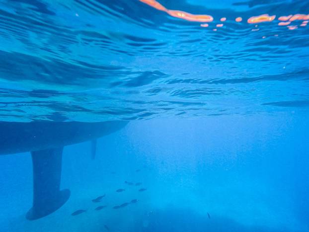 Uvala Pupnatska Luka na otoku Korčuli