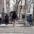 VIDEO Snježna oluja pogodila New York: Nastao kolaps u prometu, zatvorene škole...