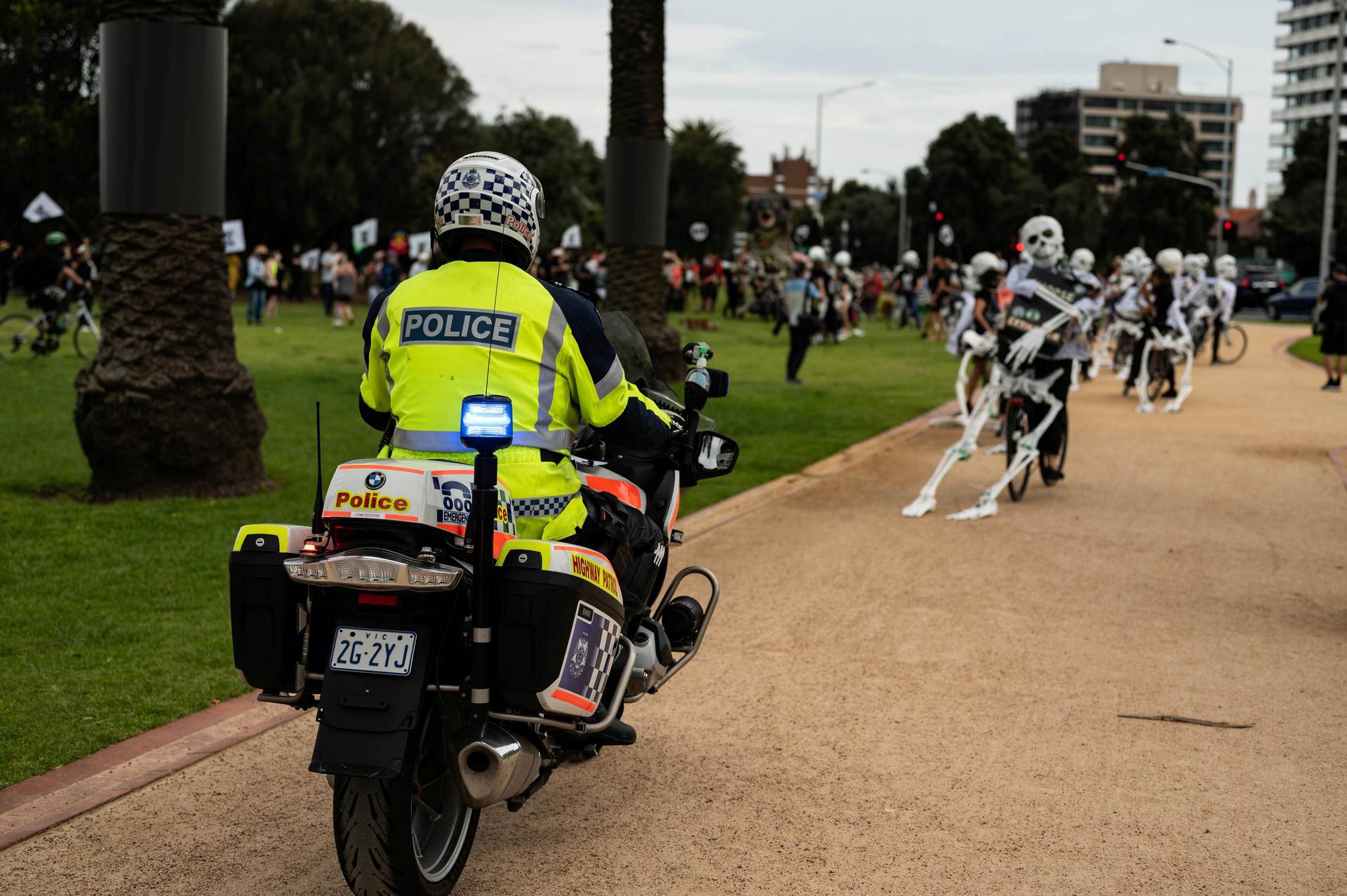 Extinction Rebellion activists hold a koala funeral in Melbourne