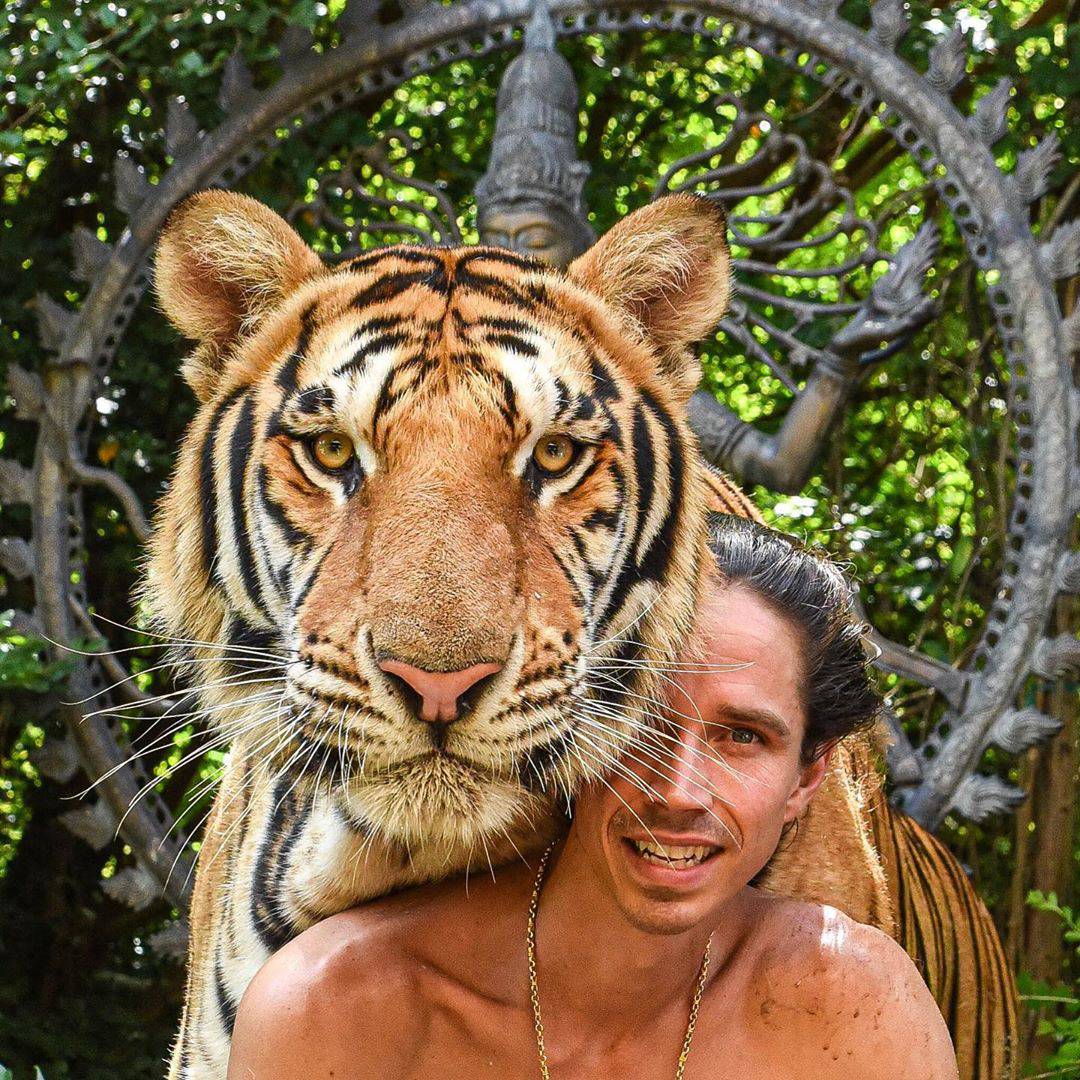 Moderni Tarzan: Tigar mu je ljubimac, a živi s čimpanzama