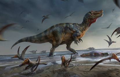 Na obali Engleske pronađene su kosti dinosaura: 'Bio je jedan od najvećih grabežljivaca u Europi'
