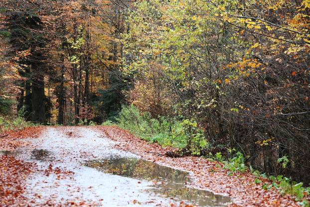 Delnice: Boje jeseni u Gorskom kotaru