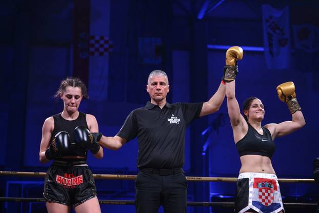 Zagreb: Arena Golden Fight, borbe K-1