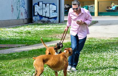 Massimo o kandidatima misli čak i dok šeta svog psa Manga