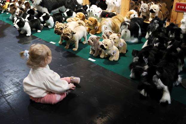A child sits with toy dogs during the second day of Crufts dog show in Birmingham