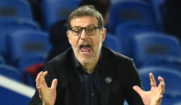 Brighton & Hove Albion v West Bromwich Albion - Premier League - AMEX Stadium