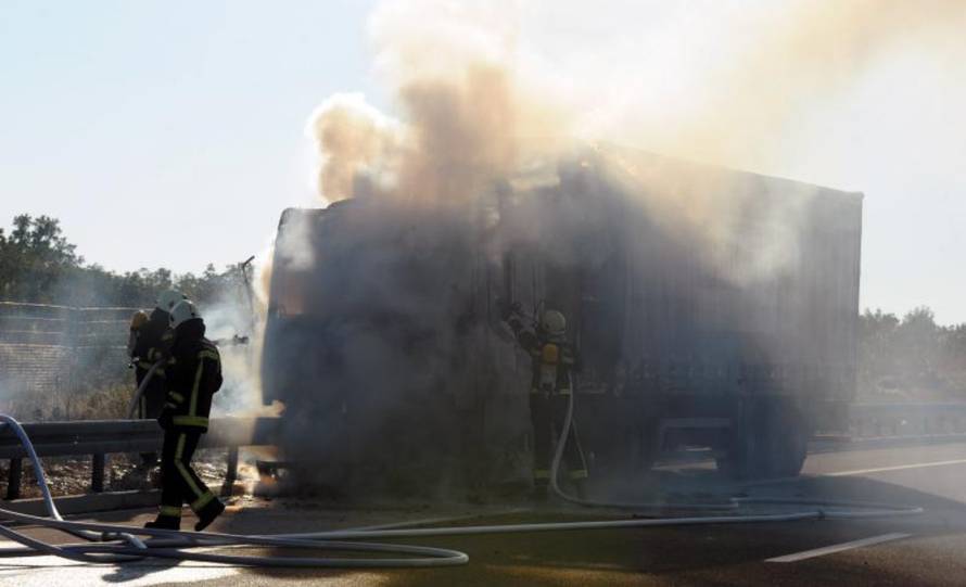 Hrvoje Jelavić/PIXSELL