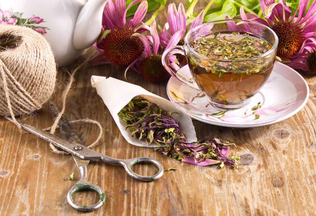 Tea,Drink,With,Echinacea,Purpurea,(echinacea,Purpurea),Dried,Folk,Medicine