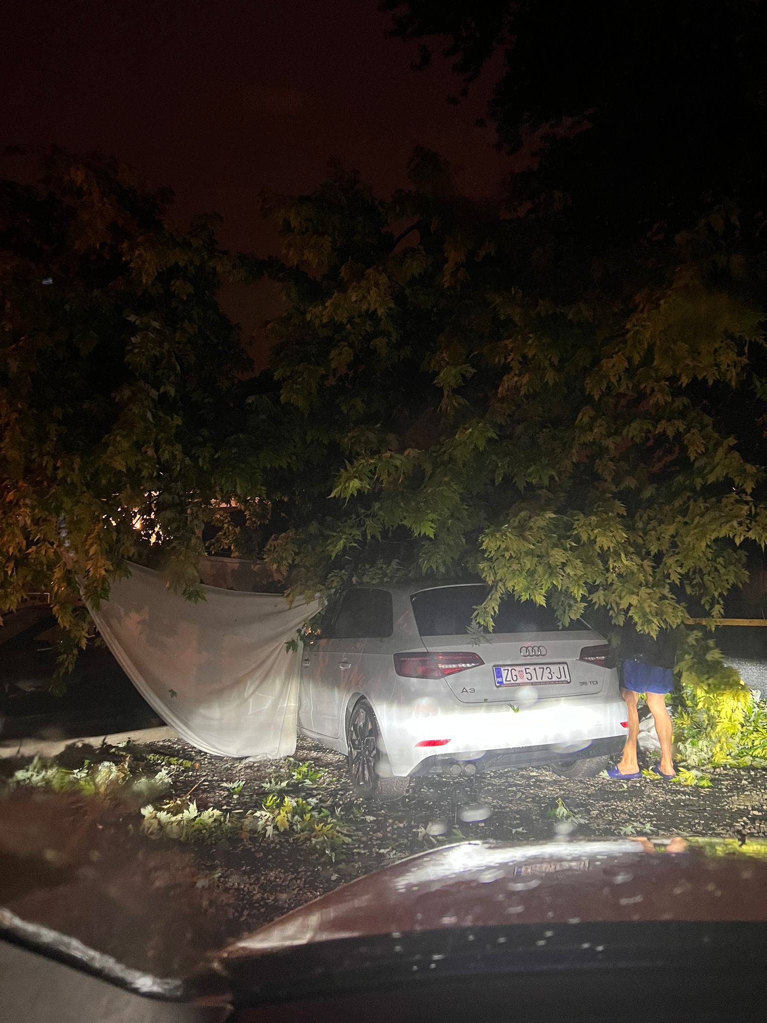 VIDEO Drvo u Zagrebu palo na automobil: 'Apeliramo mjesnom odboru već godinu dana...'