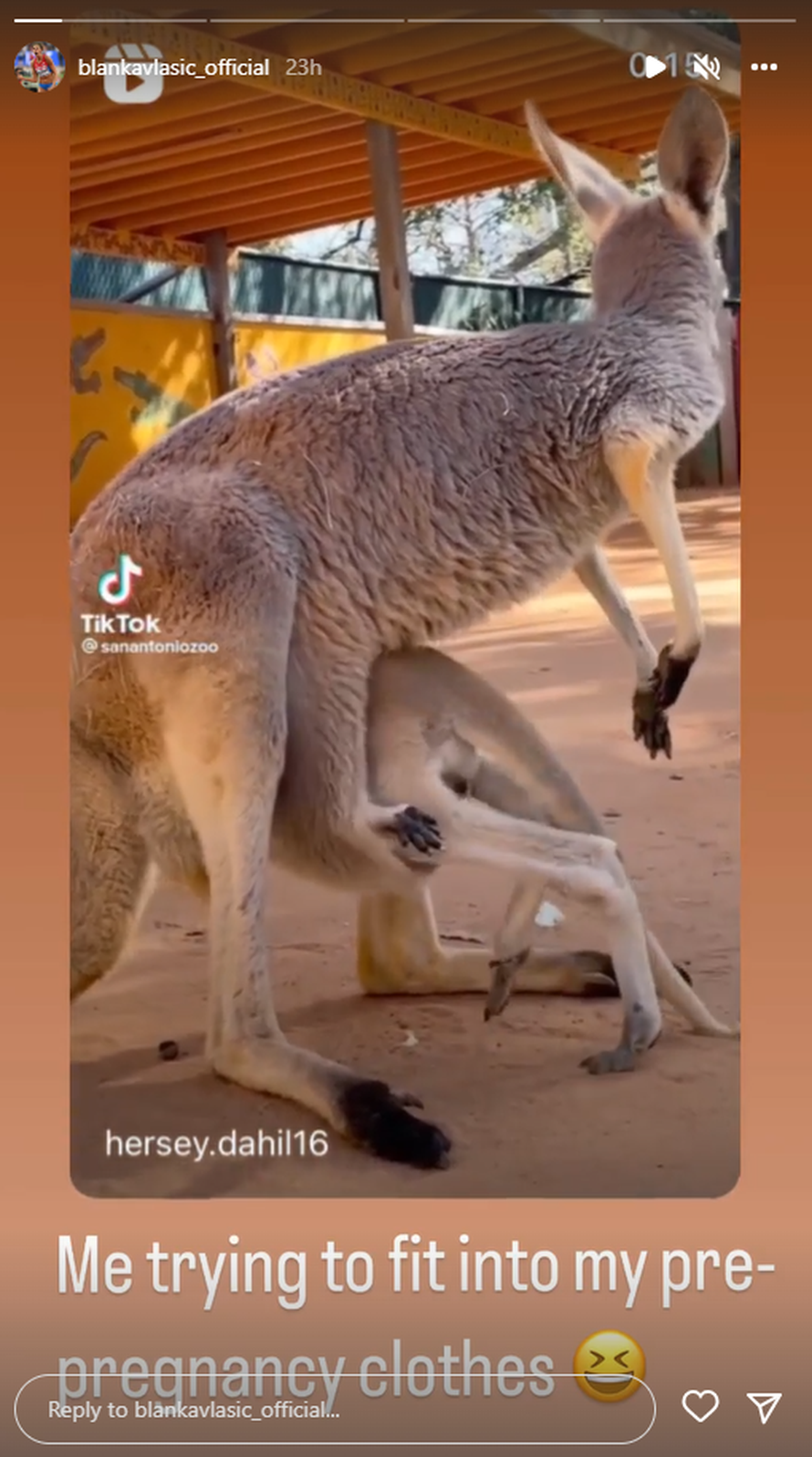 Blanka Vlašić pokazala što je muči u trudnoći: 'Ovako ja pokušavam ući u staru odjeću...'