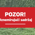 Prijatelji životinja: 'Psi azila u Belom Manastiru su rastrgali kujicu, a pas je jeo mrtvog psa'