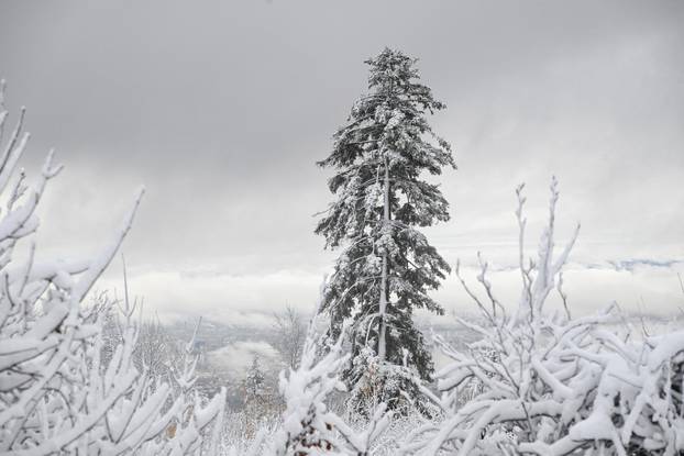 Snijeg na Sljemenu