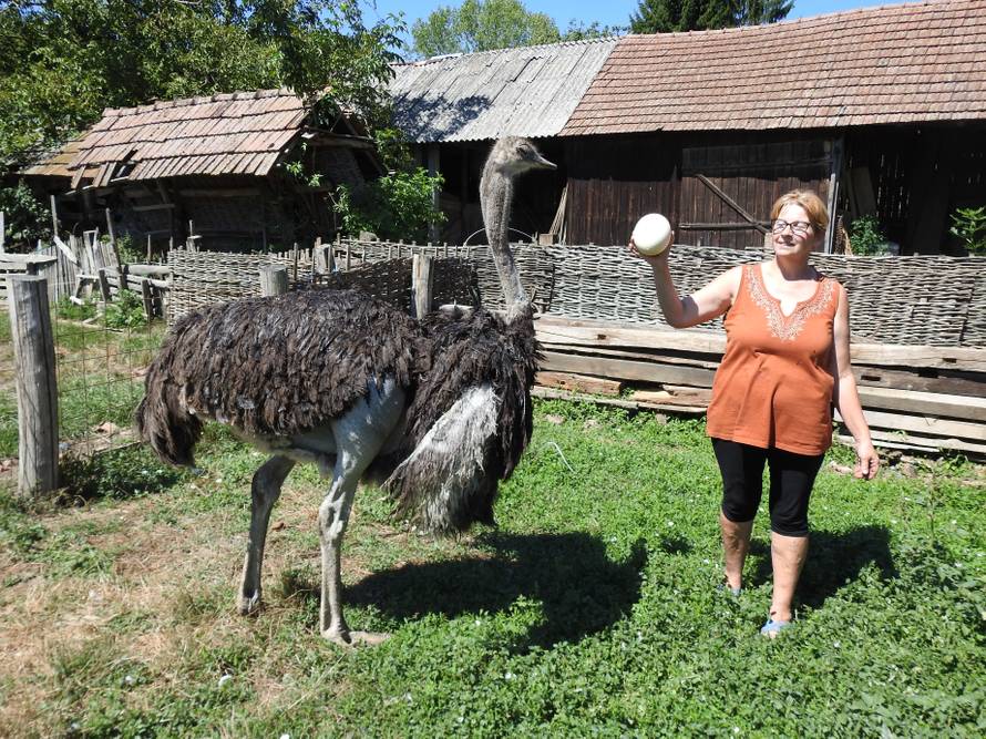 Kad si među kozama, onda se ponašaj kao da si i ti koza...