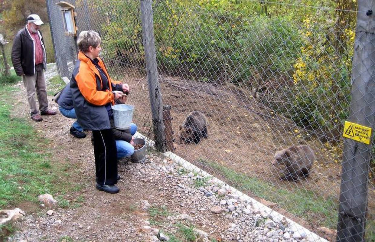Kuterevo: Medvjedi dobili tri tone hrane iz Slavonije