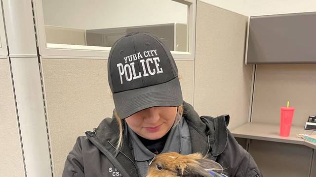 Yuba City Police Department adopts a rabbit